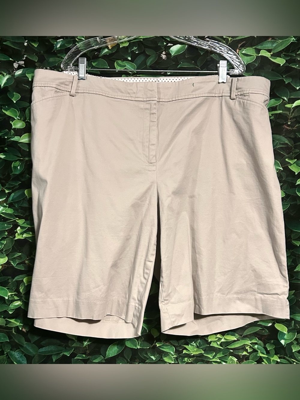 Talbots Perfect Shorts Cotton Tan Pockets Womens Plus 24W